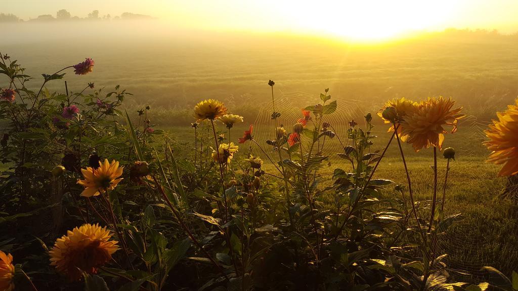 B&B Rechthuis Van Zouteveen Schipluiden ภายนอก รูปภาพ